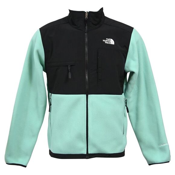 The North Face Denali Fleece Jacket in Turquoise Fleece